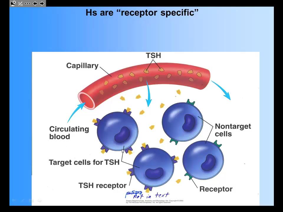 AP1 502 Specificity, Up and Down Regulation, Magnitude of Response 10 min